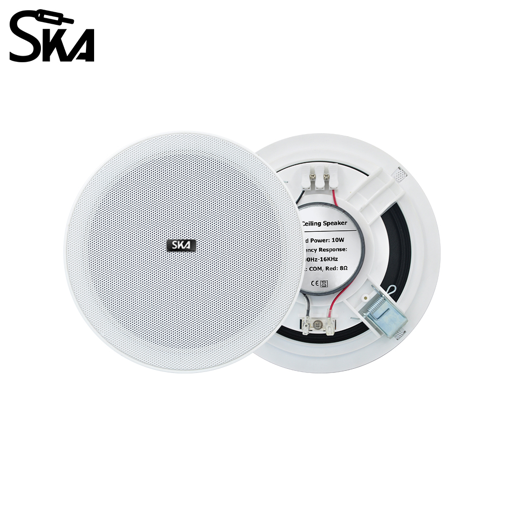 Audio Music Store - Altoparlante a doppio cono da 6,5