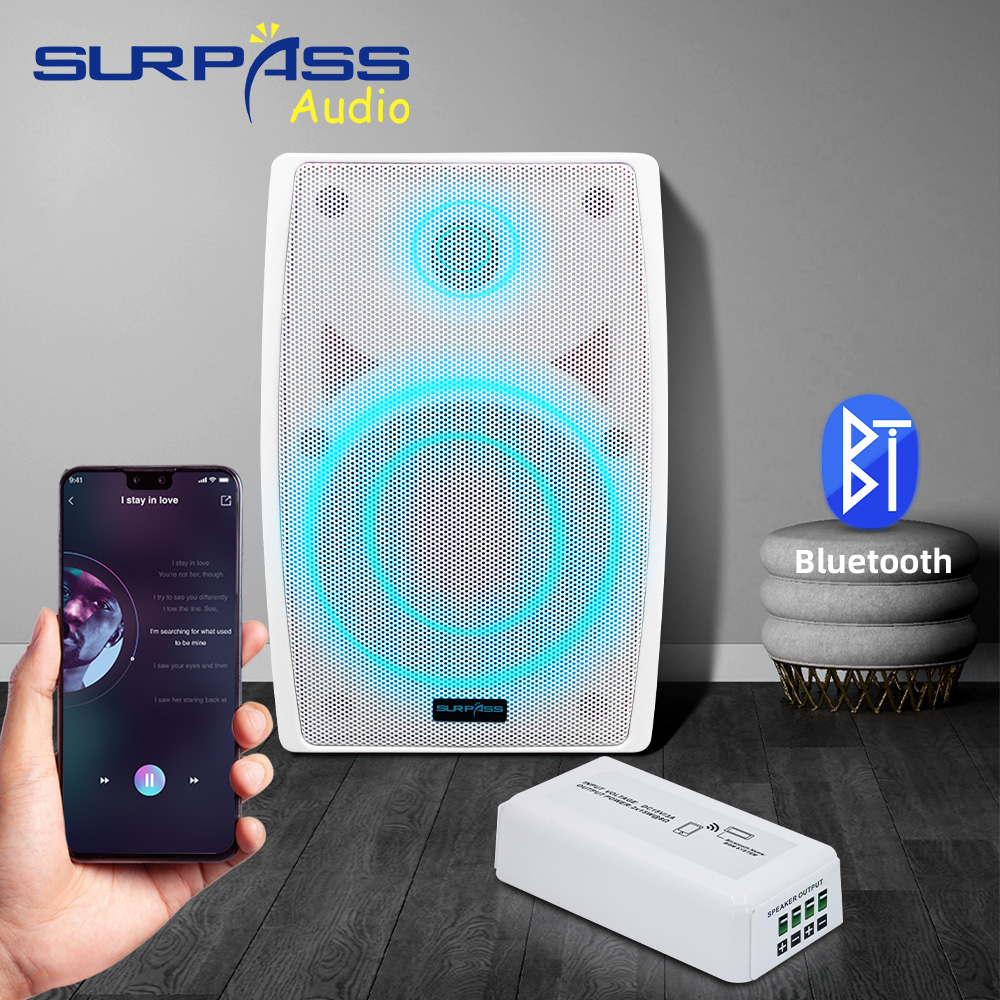 Smart Home Audio Mini amplific - Audio Music Store recensione e prezzo