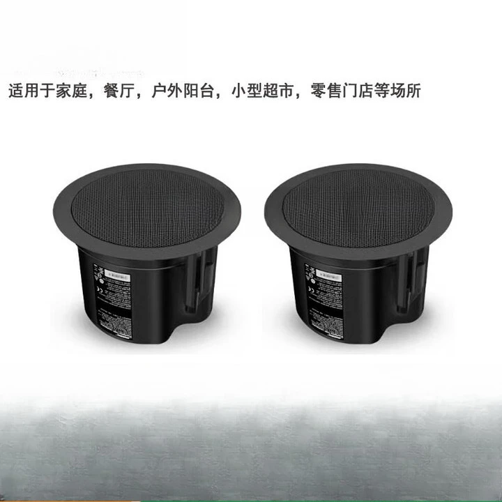 Audio da soffitto, musica di s - Audio Music Store recensione e prezzo