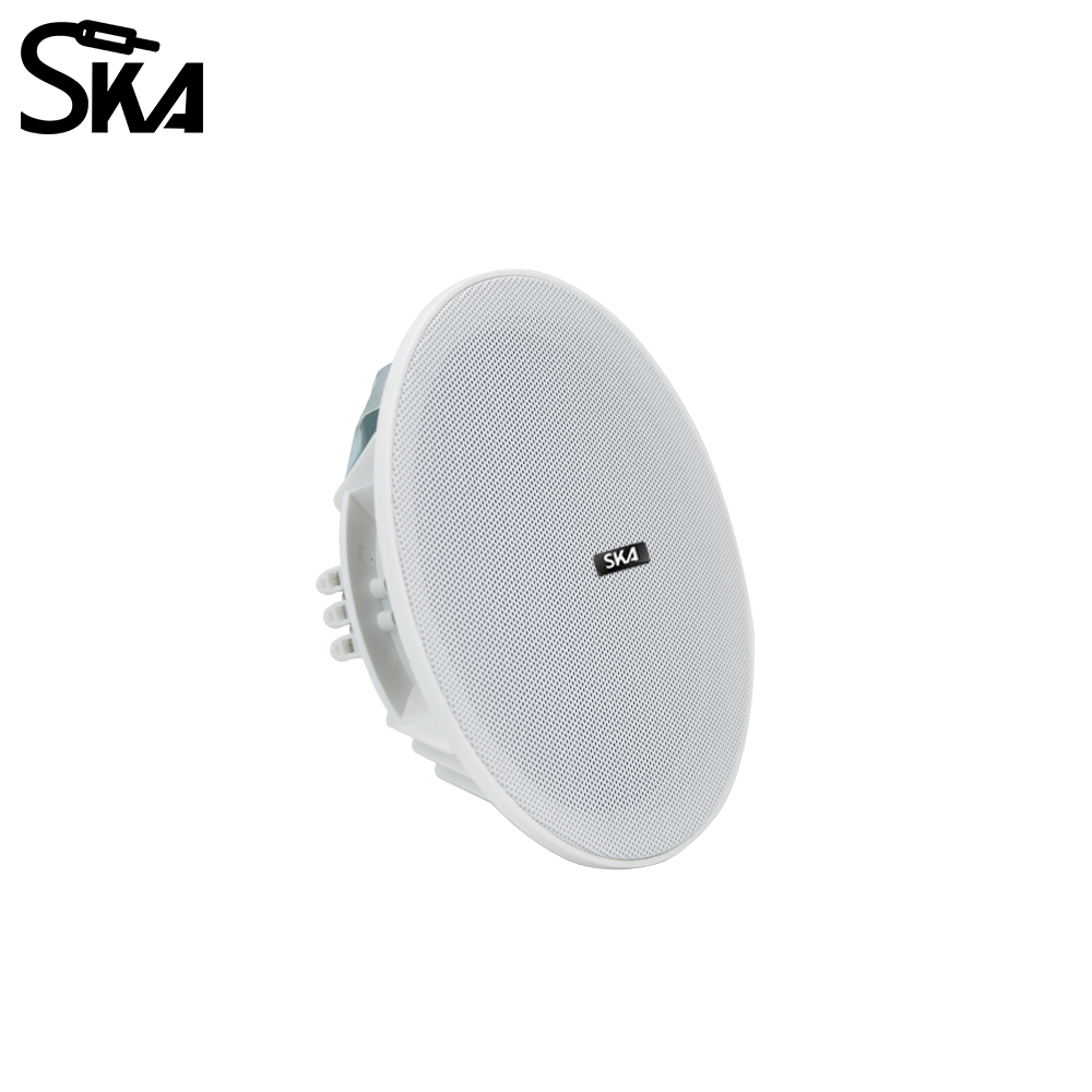 Altoparlante a doppio cono da  - Audio Music Store recensione e prezzo