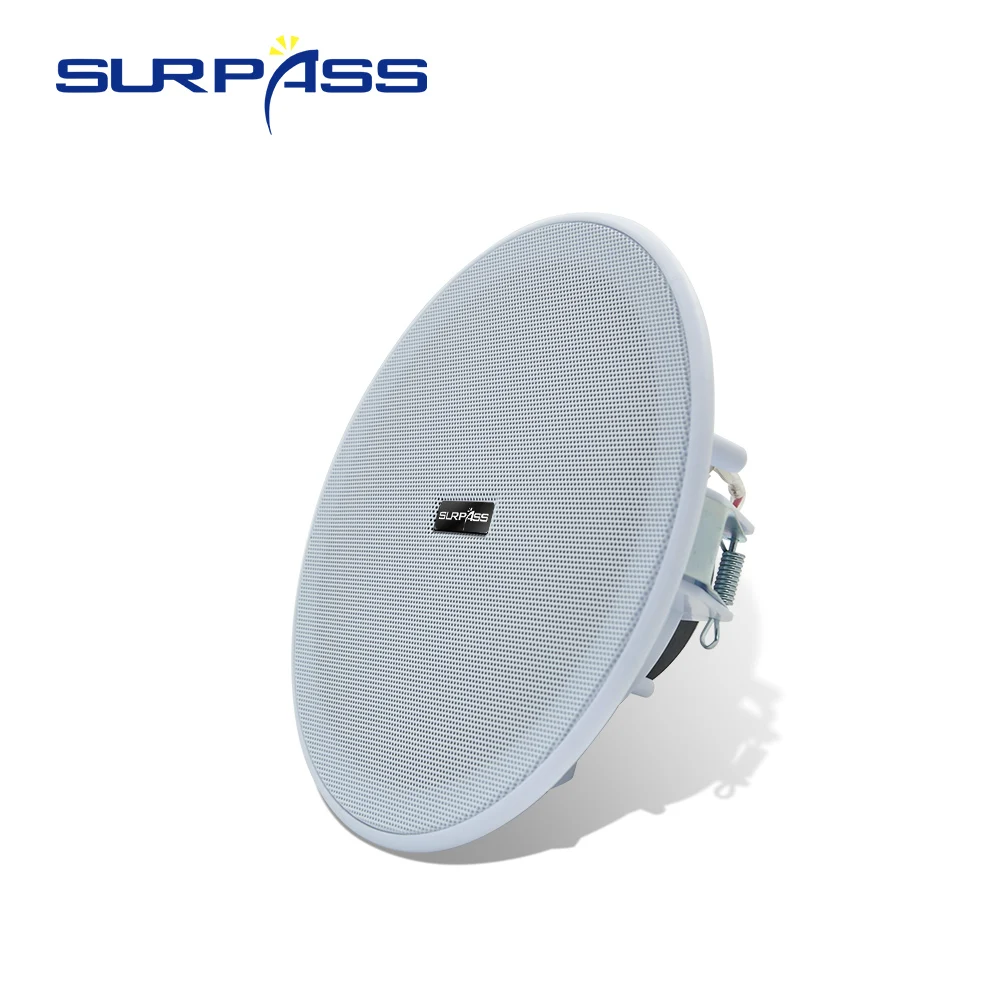 Sistema audio PA Altoparlante  - Audio Music Store recensione e prezzo