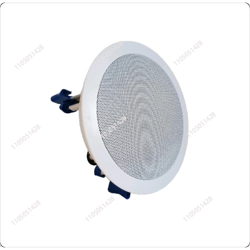 Altoparlante di rete IP, audio - Audio Music Store recensione e prezzo