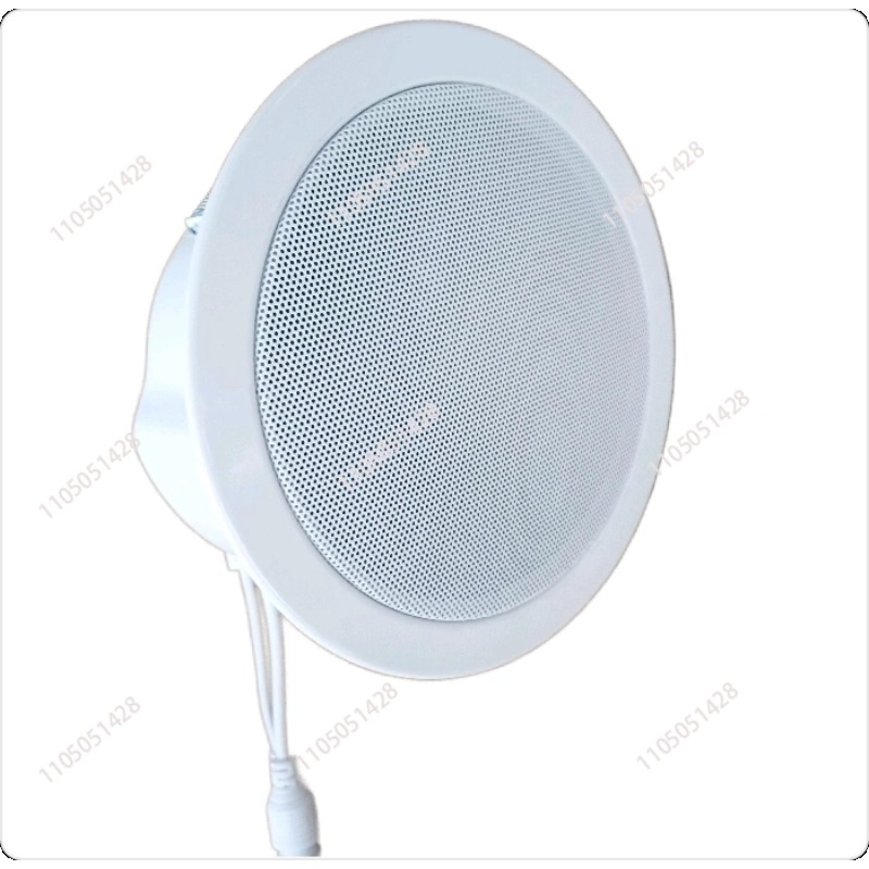 Altoparlante di rete IP, audio - Audio Music Store recensione e prezzo