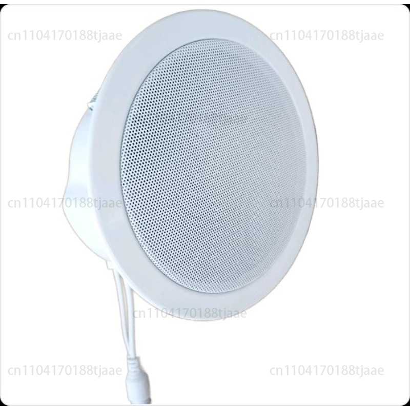 Altoparlante di rete IP, audio - Audio Music Store recensione e prezzo