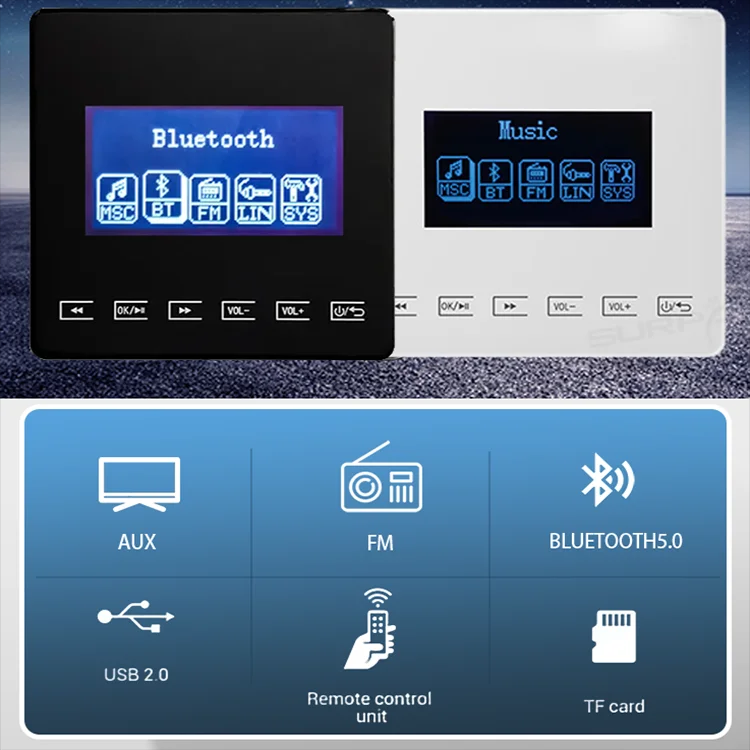 Mini amplificatore Bluetooth L - Audio Music Store recensione e prezzo